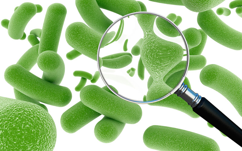 Пробиотики для детей — микрофлора с полезными бактериями